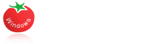 番茄一键装机 Logo